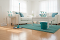 Bright, spotless living room after a professional whole house cleaning